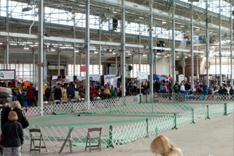 Indy Winter Classic AKC Dog Show