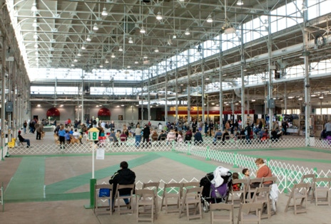 Indy Winter Classic AKC Dog Show