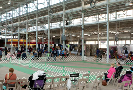 Indy Winter Classic AKC Dog Show