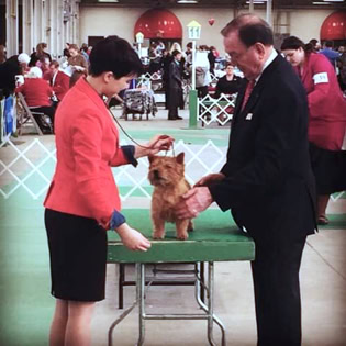 Indy Winter Classic AKC Dog Show Jr Showmanship